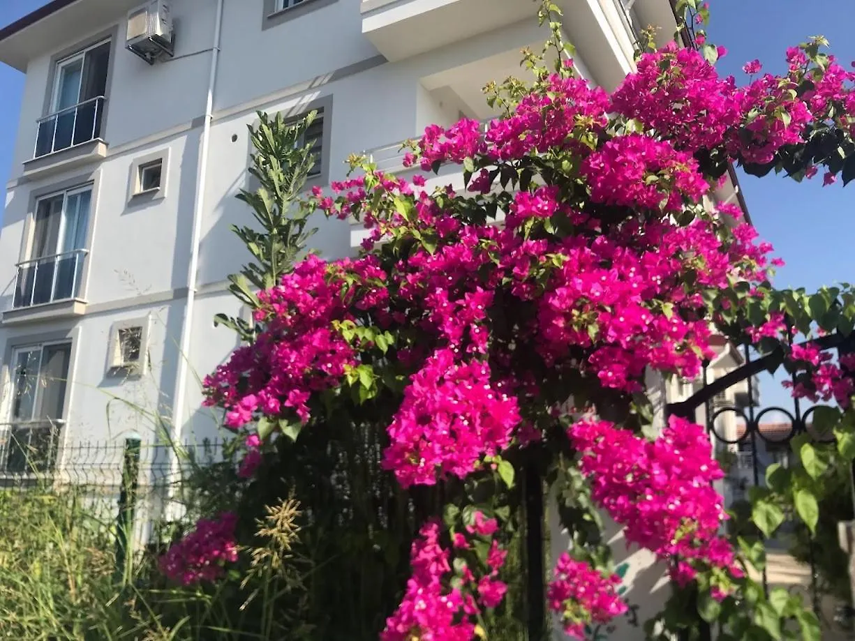 Dalaman Pansiyon & Family Rooms 0*,